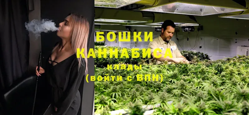 как найти   Черногорск  Марихуана White Widow 